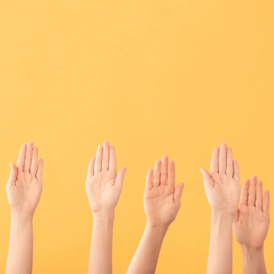 Abstimmungs- Kampagne