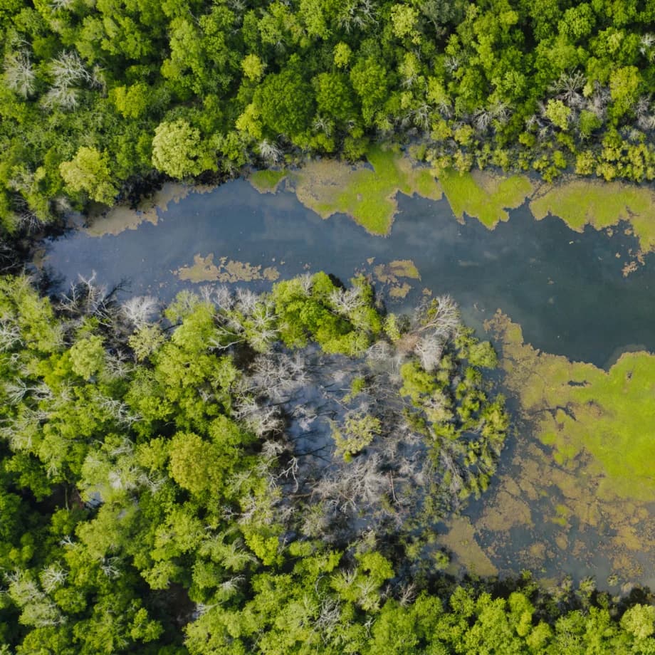 Aktion zugunsten Klimaschutz