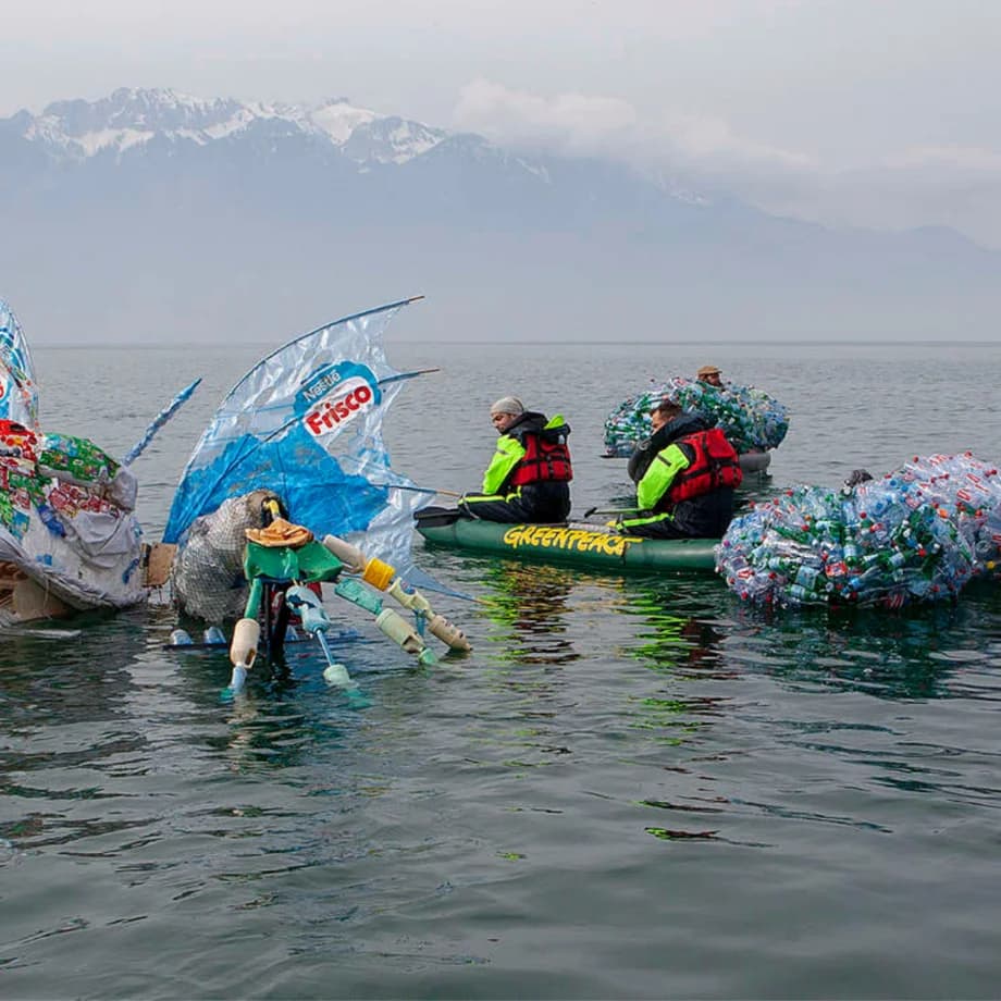 Organisationsentwicklung Greenpeace